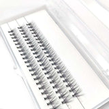 Cluster volume lash 10D 20D 30D