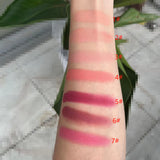 Makeup Blush